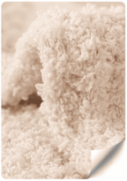 Luxury Cloud-Soft Couple Ankle Socks